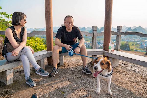 CLI team members relax on a hill top while taking a break from walking a dog