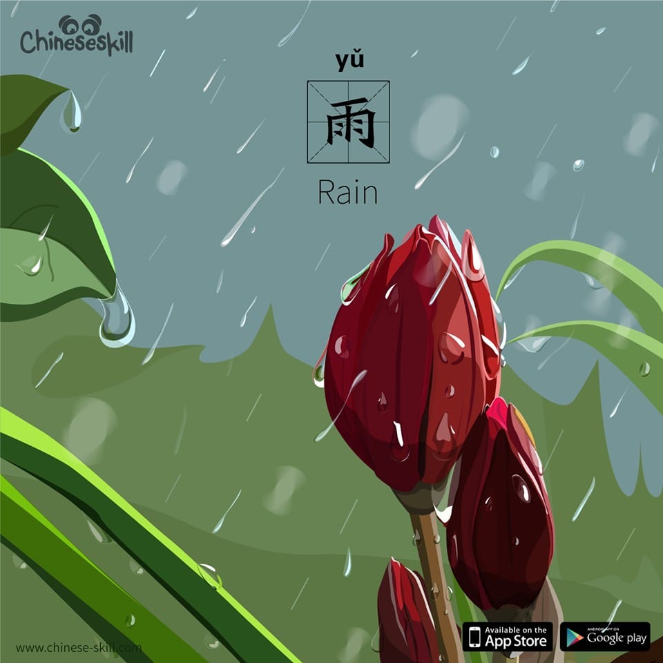 Practice Your Chinese Skills