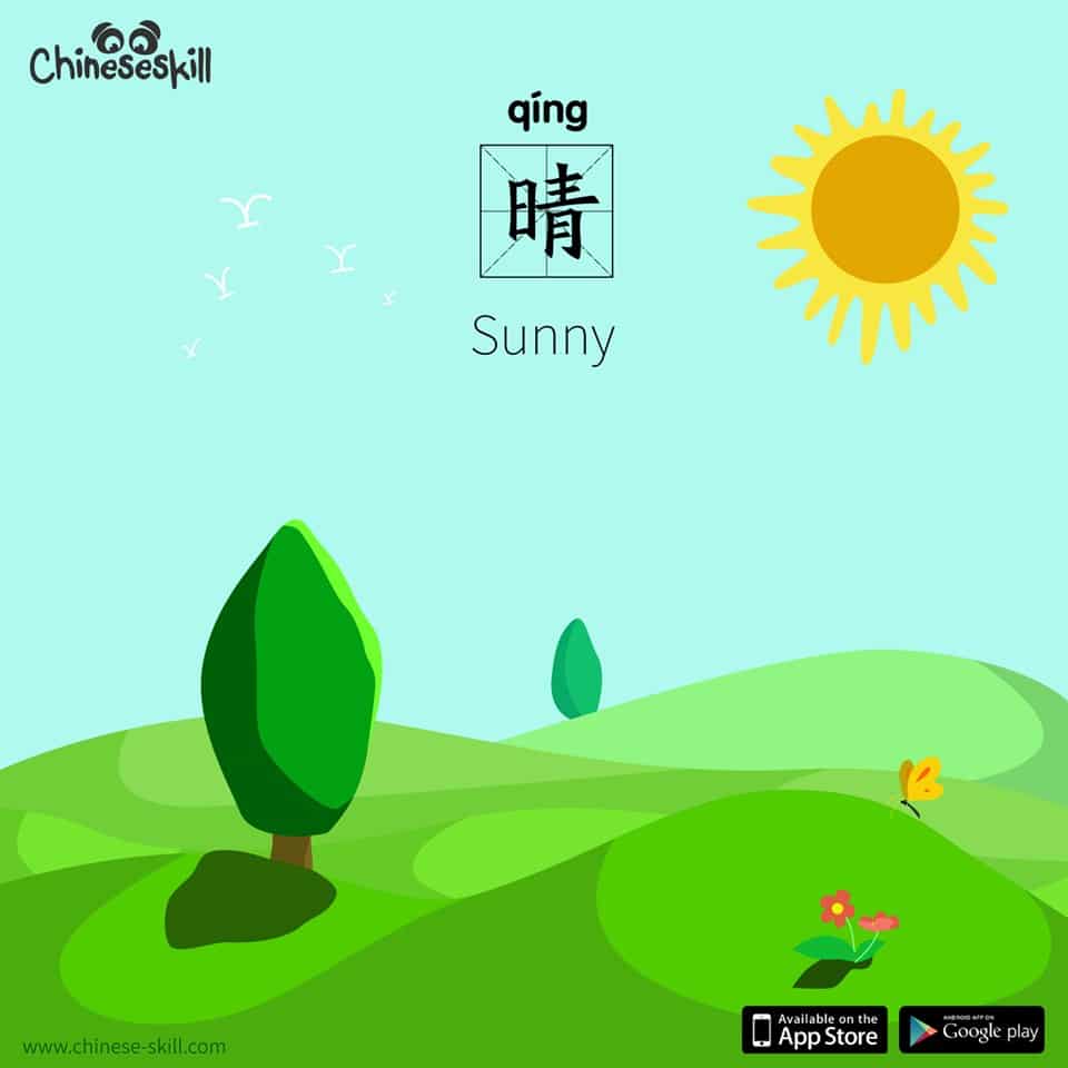 Practice Your Chinese Skills