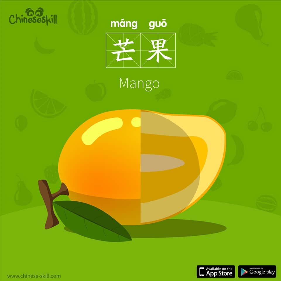 Practice Your Chinese Skills