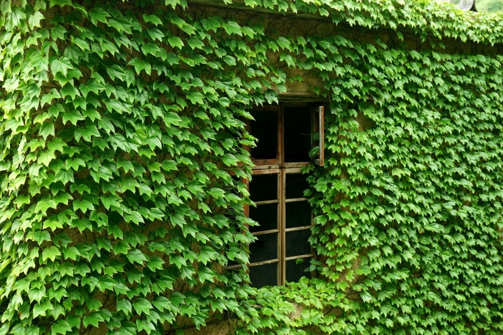 Abandoned-Chinese-Fishing-Village-18
