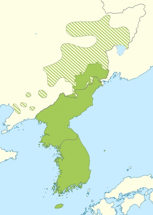 What Languages are Spoken in China?
