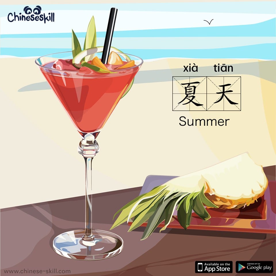 Practice Your Chinese Skills