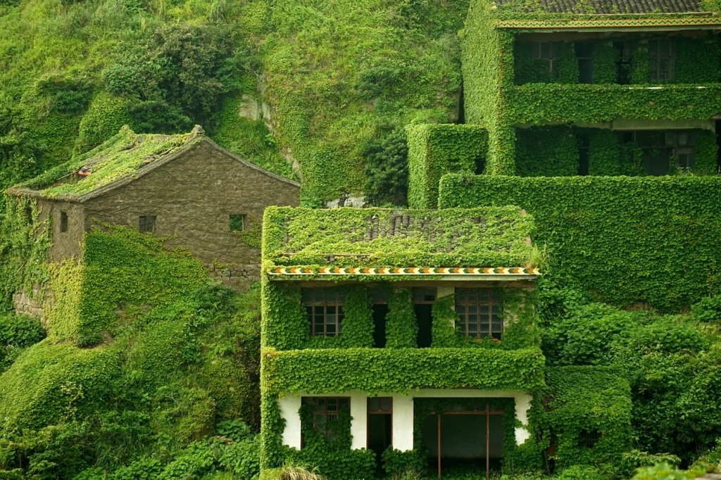 Overgrown-Chinese-Fishing-Village-19