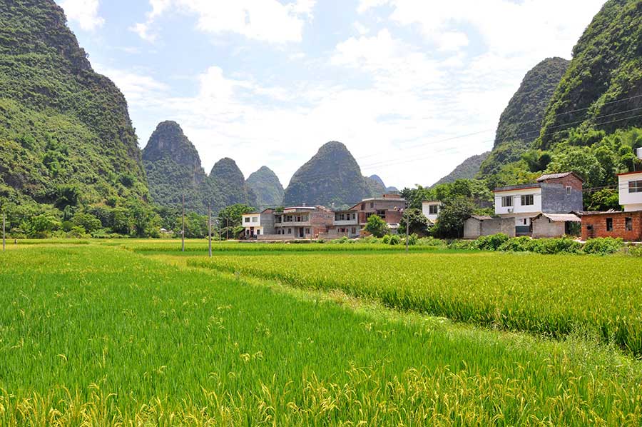 Exploring the Chinese Countryside in Yangshuo
