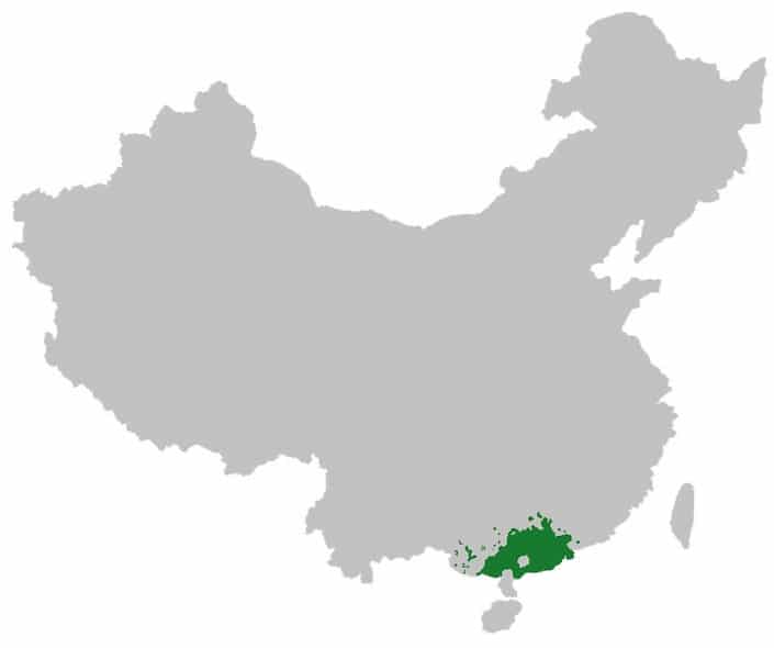 What Languages are Spoken in China?