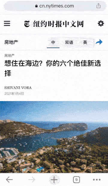 a video showing how to use a Chinese online dictionary to read a newspaper