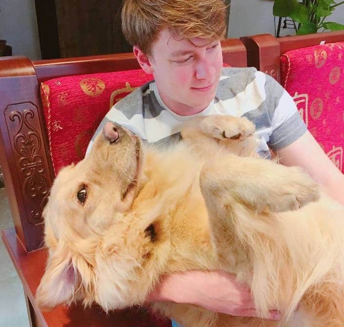Understanding the Chinese Zodiac: Year of the Dog