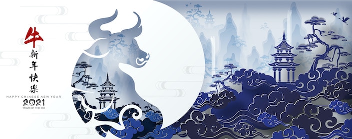 The Ox's Journey: Unlocking Mysteries of the Year of the Ox