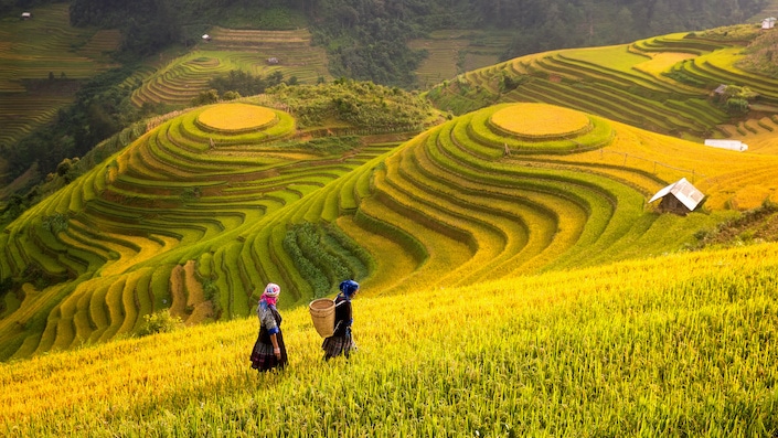 The Ultimate Insider’s Guide to Guilin (2024)