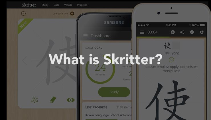 What is Skritter?