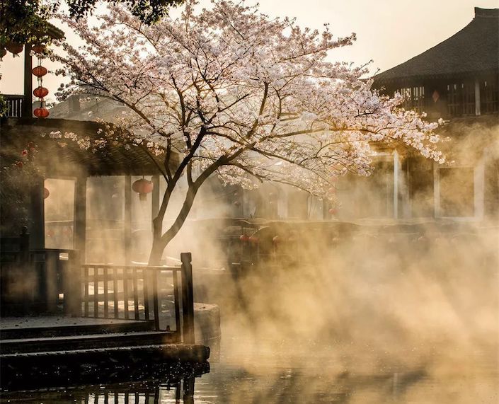springtime in wuzhen water town