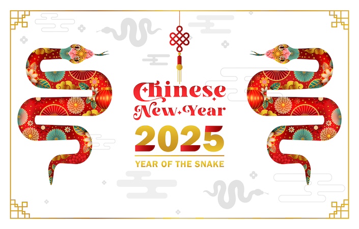 The Year of the Snake: Decoding 2025